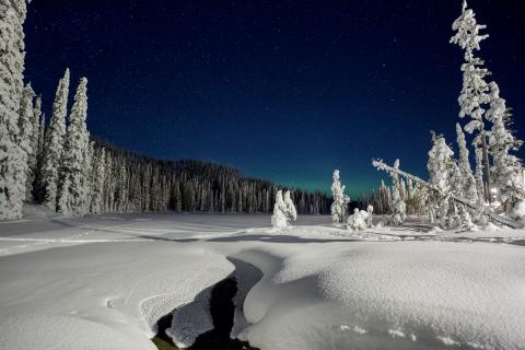 slideshow